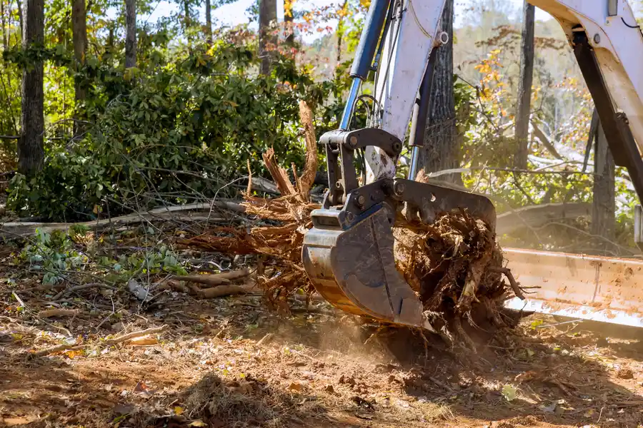 Professional Tree Stump Removal Clinton, MD Professional Tree Stump Removal Clinton, MD