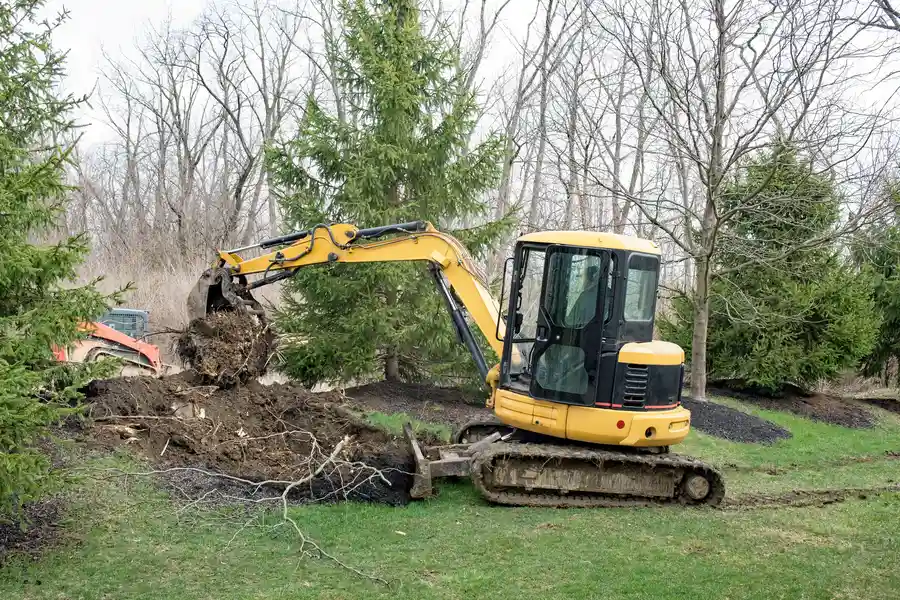 Reputable Tree Stump Removal Clinton, MD Reputable Tree Stump Removal Clinton, MD